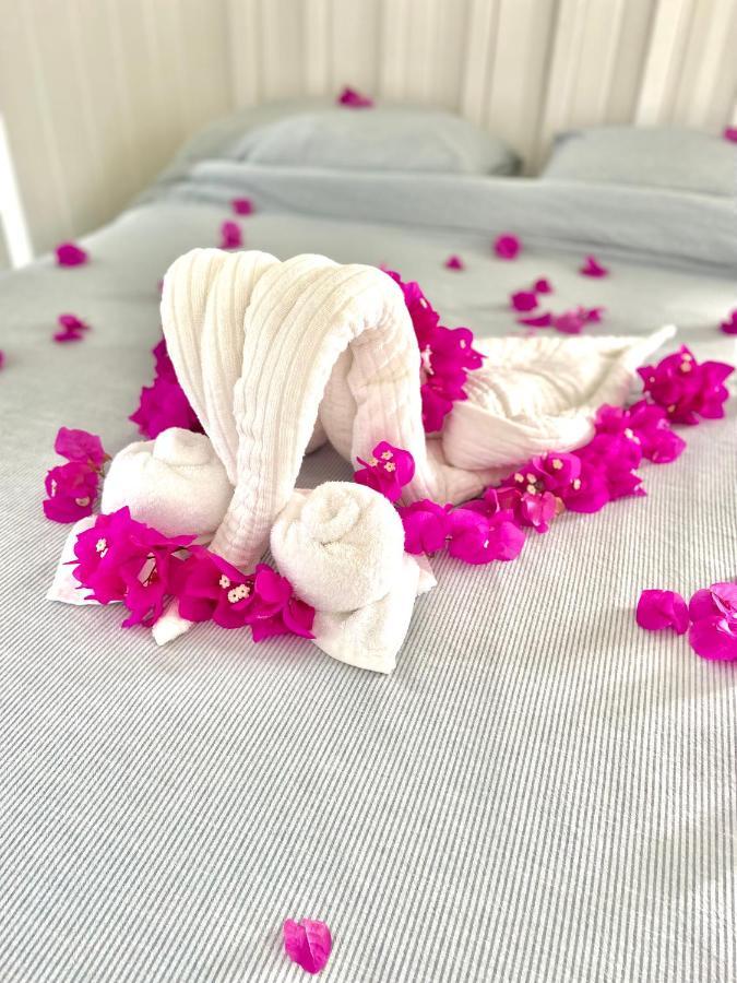 Eleuthera Retreat - Villa & Cottages On Pink Sand Beachfront Palmetto Point 외부 사진