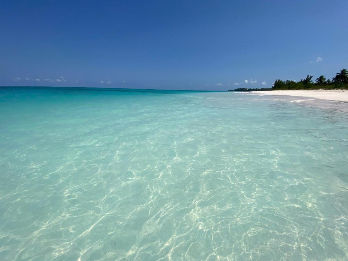 Eleuthera Retreat - Villa & Cottages On Pink Sand Beachfront Palmetto Point 외부 사진